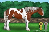 Horse Color:Silver Brown Sabino Tobiano
