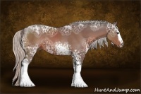 Horse Color:White Spotted Silver Brown Ice