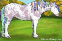 Horse Color:Painted Watercolor White Spotted Brown Dun Splash Appaloosa 