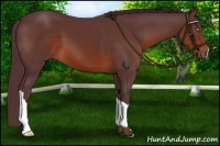 Horse Color:Chocolate Brown 