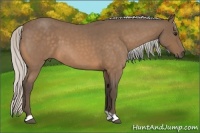 Horse Color:Silver Buckskin Roan 