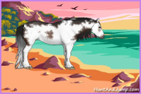 Horse Color:Gray Brown Splash Frame Rabicano