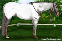 Horse Color:Liver Red Roan Snowcap