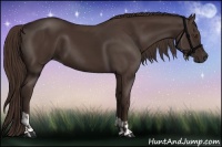 Horse Color:Liver Chestnut  and Liver Chestnut 