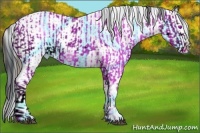 Horse Color:ERROR: UNKNOWN ANOMALY and Thunderstruck Plaid  Bay Sabino Splash Near Fewspot Rabicano 