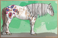 Horse Color:Sable Champagne Appaloosa  and Gray Sable Champagne Appaloosa 