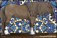 Horse Color:White Spotted Liver Red Dun