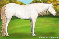 Horse Color:Buckskin Roan Pearl and Buckskin Roan Pearl Frame