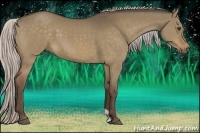 Horse Color:Silver Bay Dun