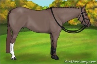 Horse Color:Chocolate Grullo 