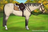 Horse Color:Buckskin Roan Dun