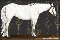 Horse Color:Palomino Near Leopard and Palomino Near Leopard