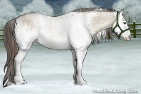 Horse Color:White Spotted Liver Red Dun Rabicano 