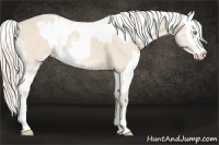 Horse Color:Perlino Sabino  and Perlino Sabino 