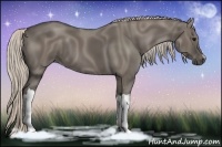 Horse Color:Silver Grullo
