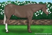 Horse Color:Silver Black 