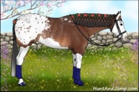 Horse Color:Bay Splash Appaloosa Rabicano 