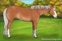 Horse Color:Silver Brown Splash 