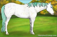 Horse Color:Painted Silver Buckskin Ice Splash Appaloosa 