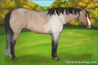 Horse Color:Bay Roan Dun Splash