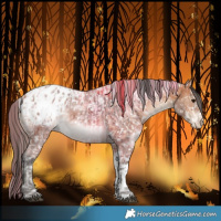 Horse Color:Bay Ice Snowflake Varnish  and Bay Ice Tobiano Snowflake Varnish 