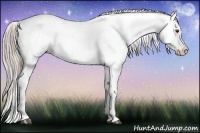 Horse Color:Chestnut Appaloosa  and Silver Brown Appaloosa 