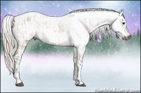 Horse Color:Gray Bay Tobiano Snowflake Varnish and Gray Silver Bay Snowflake Varnish