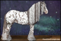 Horse Color:Liver Chestnut Sabino Tobiano Appaloosa  and Liver Chestnut Appaloosa 