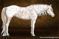 Horse Color:Chestnut Snowflake Varnish  and Gold Champagne Snowflake Varnish 