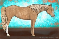Horse Color:Gold Champagne  and Chestnut 