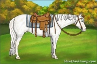 Horse Color:Cremello Roan Near Leopard