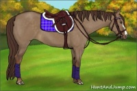 Horse Color:Liver Red Dun 