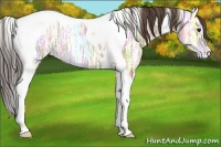 Horse Color:Classic Champagne Ice Tobiano