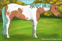 Horse Color:Painted Silver Bay Tobiano