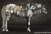 Horse Color:White Spotted Liver Red Dun Appaloosa  and White Spotted Liver Chestnut Sabino 