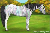 Horse Color:Blue Ice Roan Tobiano 