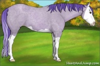 Horse Color:Watercolor Classic Champagne Splash