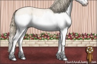 Horse Color:Perlino Roan Splash 