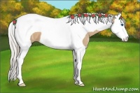 Horse Color:Silver Bay Ice Dun Splash Tobiano