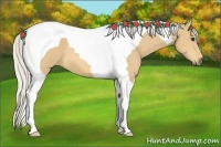 Horse Color:Silver Buckskin Tobiano 