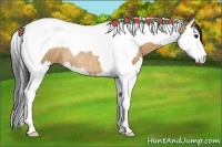 Horse Color:Bay Roan Dun Splash Tobiano Rabicano 