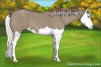 Horse Color:Silver Grullo Roan Splash 