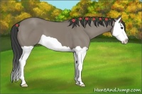 Horse Color:Smoky Grullo Splash