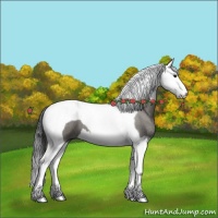 Horse Color:Grullo Roan Splash Tobiano 