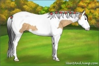 Horse Color:Buckskin Dun Splash Tobiano 