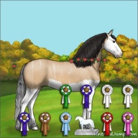 Horse Color:Bay Ice Dun Splash 