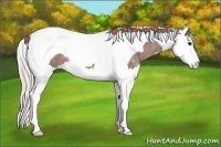 Horse Color:Silver Black Ice Splash Tobiano