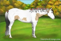 Horse Color:Brown Dun Splash Tobiano