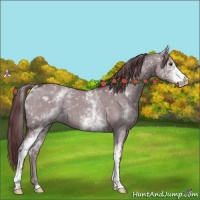 Horse Color:White Spotted Chocolate Grullo Chinchilla 