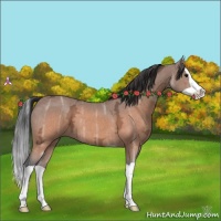 Horse Color:Brown Ice Splash 